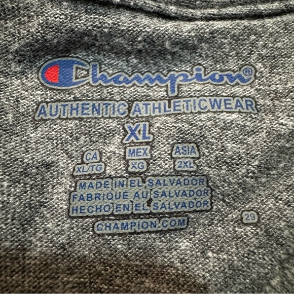 SUNY Brockport Golden Eagles Champion Ultimate Tri-Blend T-Shirt - Gray Men’s XL - Picture 3 of 9